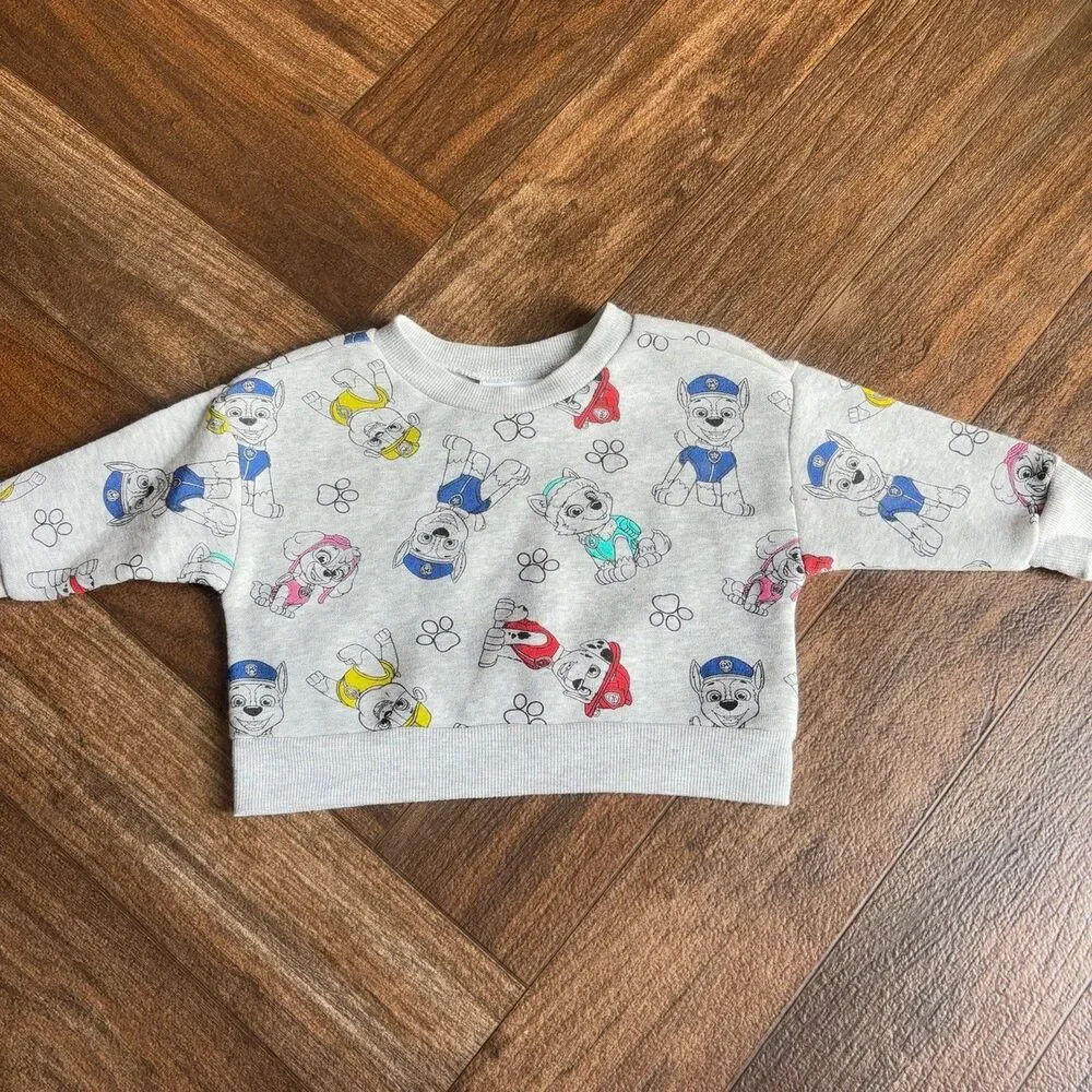 Nickelodeon Paw Patrol 2 Piece Set Outfit Pants Sweatshirt Grey Size 12 Months